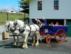 THE CARRIAGE HOUSE - BAY OF ISLANDS New Zealand