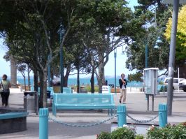 Apartment/Condo by the Sea - From $135 - $185.00 Per night
